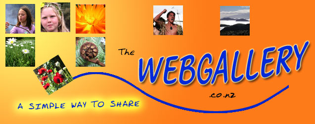 Webgallery, online photo sharing, photo gallery, photo hosting,  slide shows, web galleries
